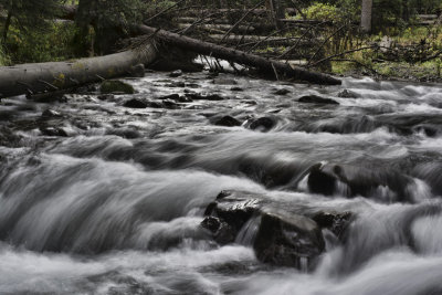 Dallas Creek