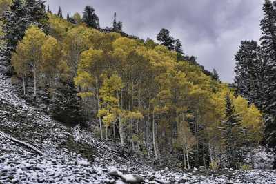 Ohio Pass