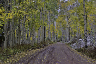 Kebler Pass