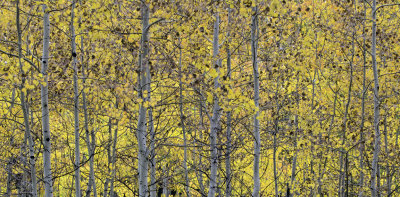Kebler Pass