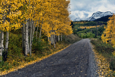 Dallas Creek Road