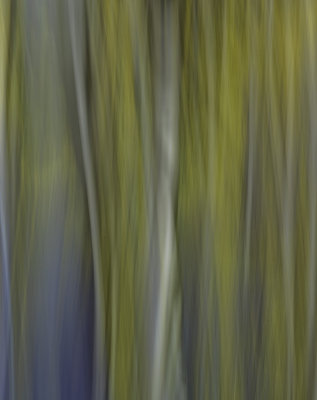 Aspen Abstract