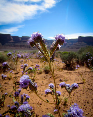 IMG_1703.jpg