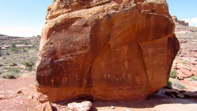 IMG_1761.jpg