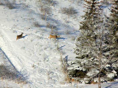 DSCN5824.jpg
