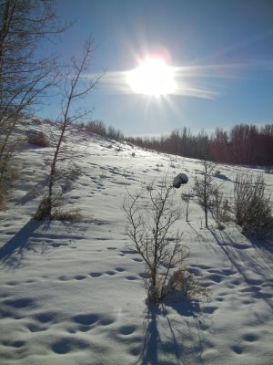 DSCN5848.jpg