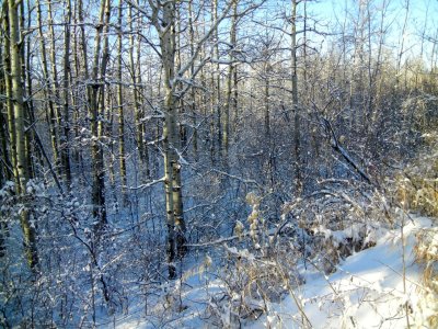 DSCN5855.jpg