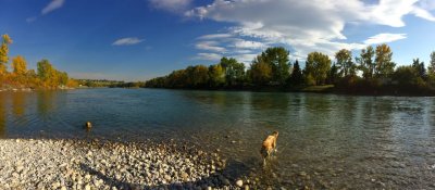 autumn colours panorama