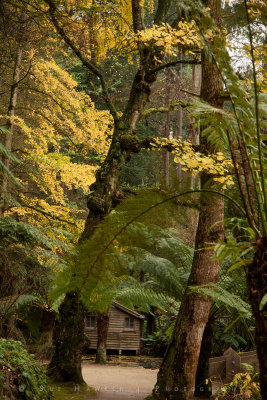 The Boathouse Path