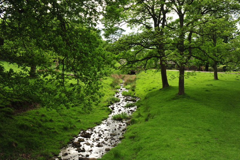 DSC_9364.JPG