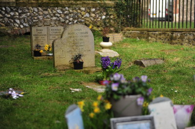 DSC_5690.JPG
