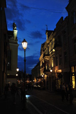 DSC_6868.JPG