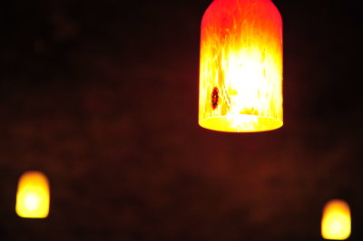 DSC_7001.JPG