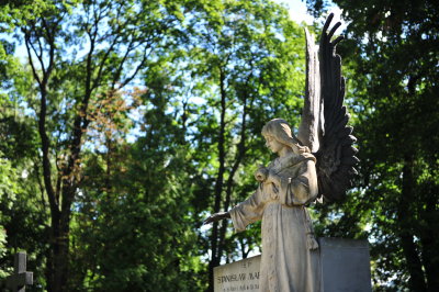 DSC_6525.JPG