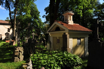 DSC_6543.JPG