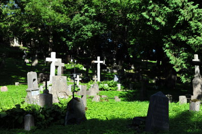DSC_6550.JPG