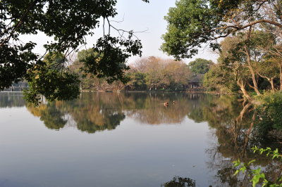 DSC_7248.JPG