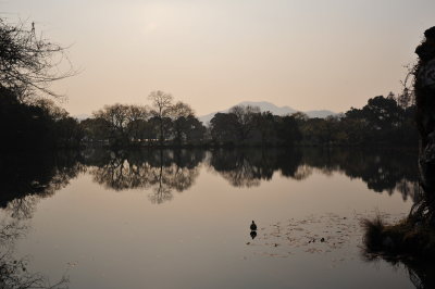 DSC_7269.JPG