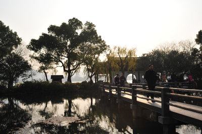 DSC_7286.JPG