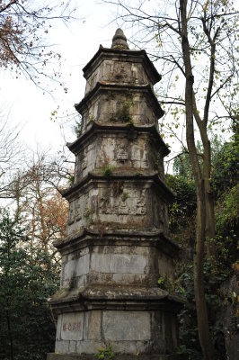 DSC_7299.JPG