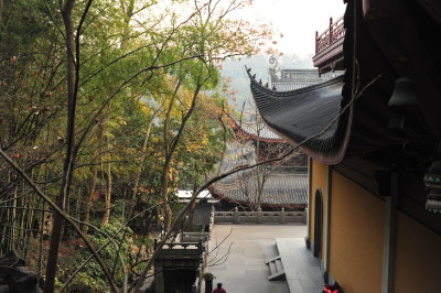 DSC_7354.JPG