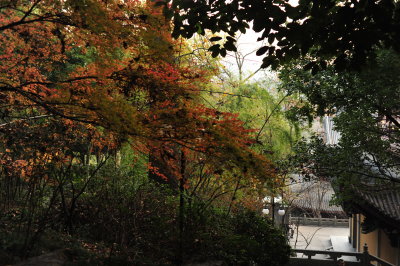 DSC_7356.JPG