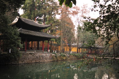 DSC_7417.JPG