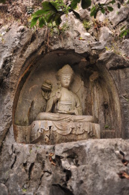 DSC_7426.JPG