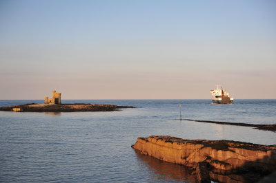DSC_7572.JPG