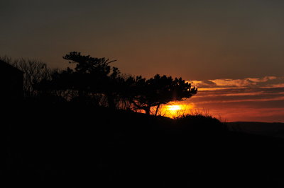 DSC_7609.JPG