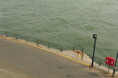 DSC_7799.JPG