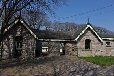 DSC_7921.JPG
