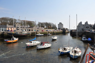 DSC_7938.JPG
