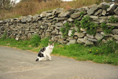 DSC_8169.JPG