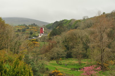 DSC_8224.JPG