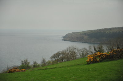 DSC_8261.JPG