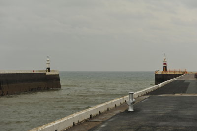 DSC_8381.JPG