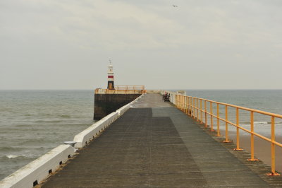 DSC_8382.JPG