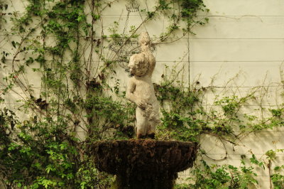 DSC_8545.JPG