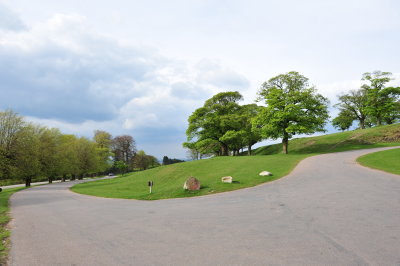 DSC_8564.JPG