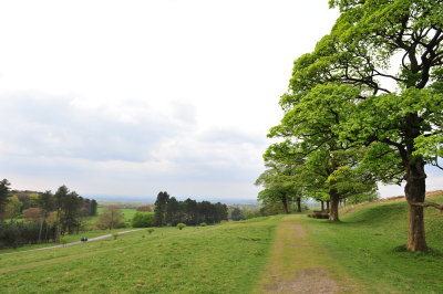 DSC_8571.JPG