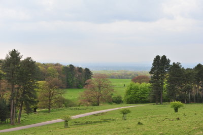 DSC_8573.JPG