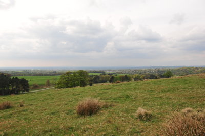 DSC_8580.JPG