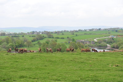 DSC_8601.JPG