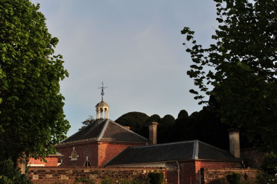 DSC_8804.JPG