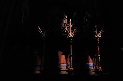 DSC_8988.JPG