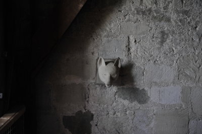 DSC_9010.JPG