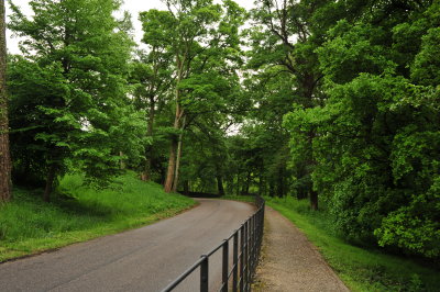 DSC_9202.JPG