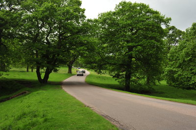DSC_9210.JPG