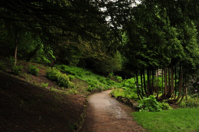 DSC_9248.JPG